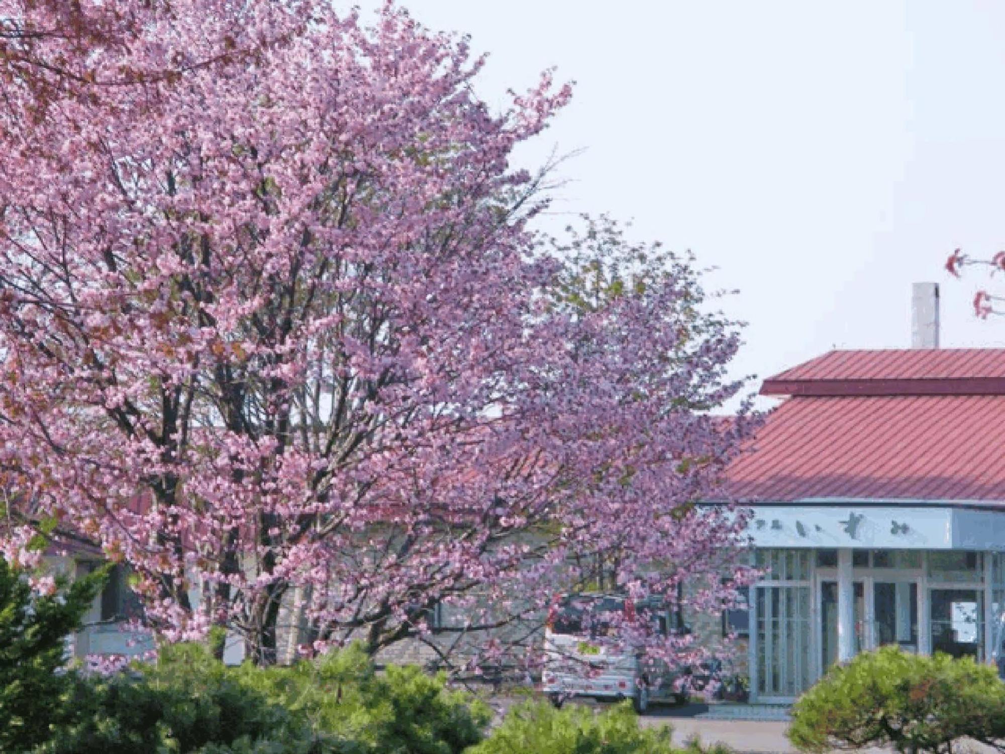 Hotel Izumi Shiraoi Εξωτερικό φωτογραφία